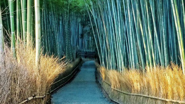 Early Entry in Public Relations