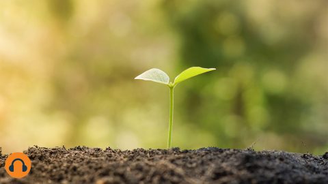 2026-egabriefings-website-CSR-and-sustainability-1280x720